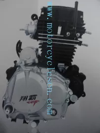 China 166FMM CGN250CC Single cylinder Air cool 4 Sftkoe vertical with Balance shaft  Engines supplier