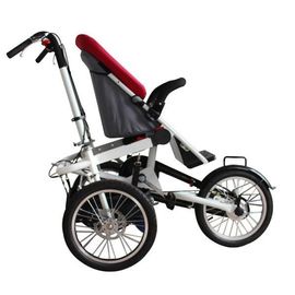 GTZ German Technical baby stroller bike supplier