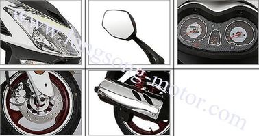 EEC DOT EPA PALADIN Ⅶ  50cc Gas 2-stroke 4-stroke  single-cylinder air-cooled Scooter 50 supplier