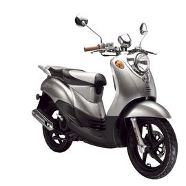 EEC DOT EPA 50cc Gas 2-stroke 4-stroke  single-cylinder air-cooled Scooter Large turtle125 supplier