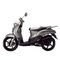 EEC DOT EPA 50cc Gas 2-stroke 4-stroke  single-cylinder air-cooled Scooter Large turtle125 supplier