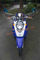 EEC DOT EPA 50cc Gas 2-stroke 4-stroke  single-cylinder air-cooled Scooter Large turtle125 supplier