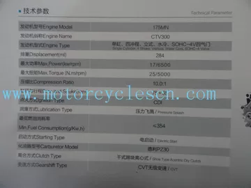 CVT300CC Special type Motorcycle Engines supplier