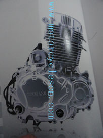 162FMJ NT125 Twin cylinder 4stroke ail cool Vertical Exterior balance shaft Engines supplier